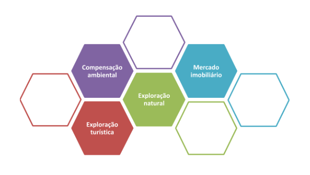 Imagem 4 - Vista da Propriedade